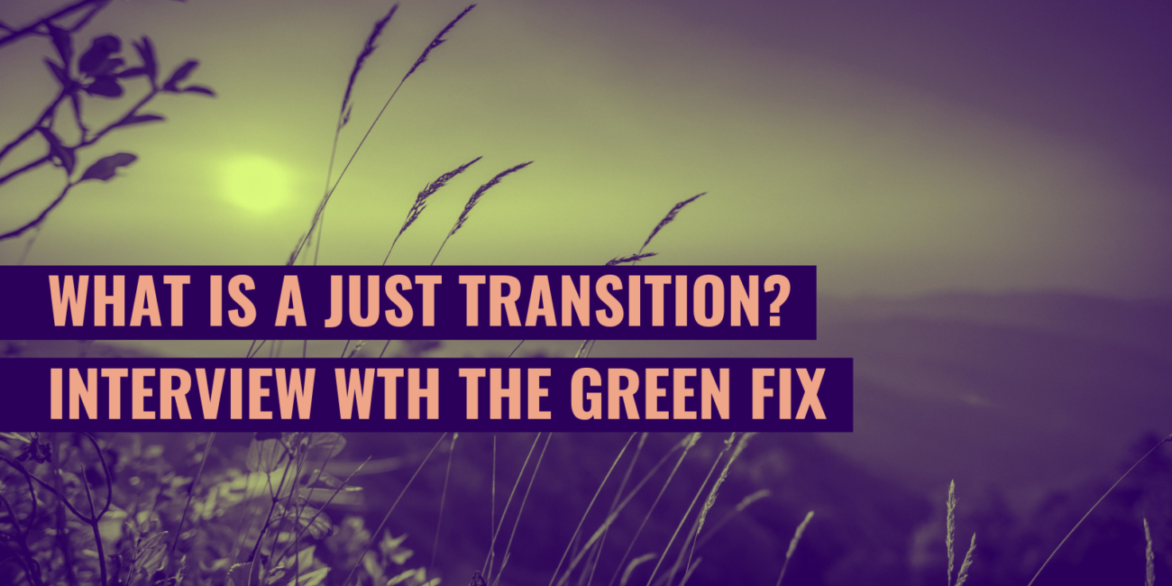 Interview Just Transition the Green Fix ENAR anti-racism Climate Justice