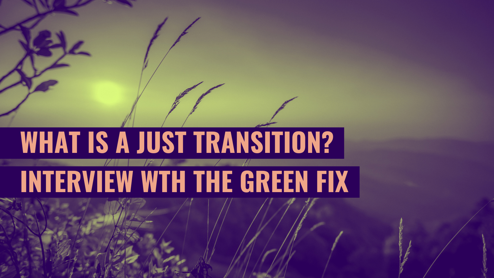 Interview Just Transition the Green Fix ENAR anti-racism Climate Justice