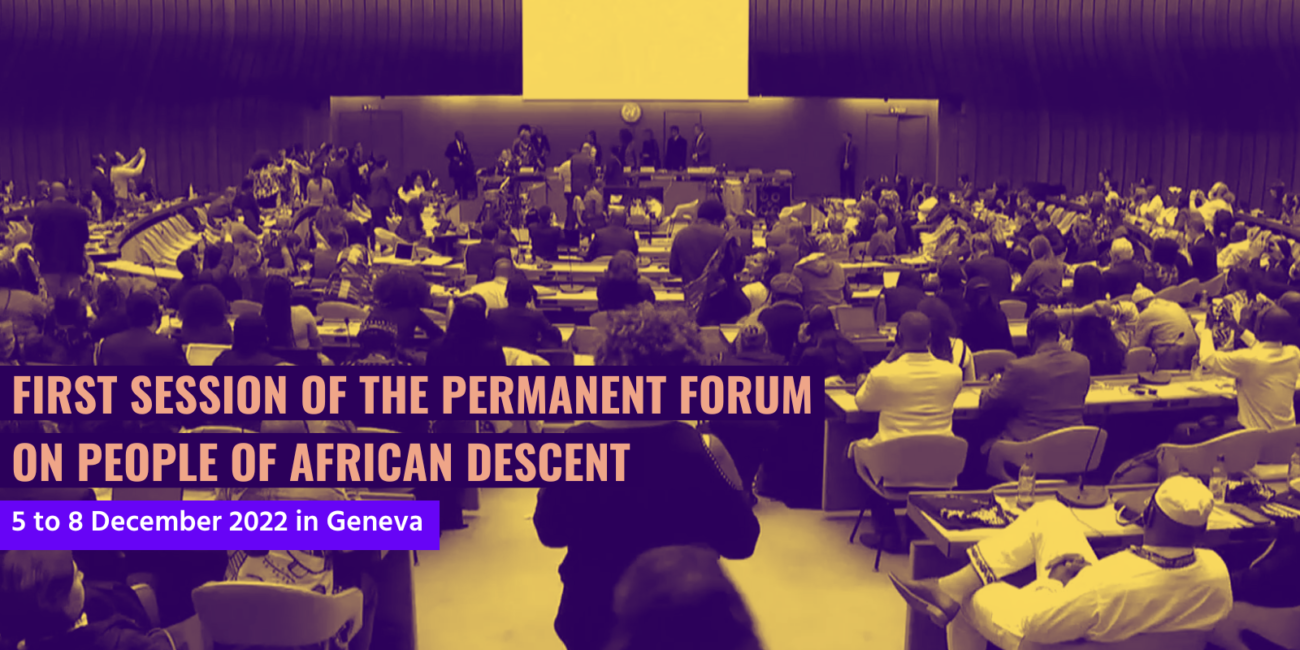 First Session of the Permanent Forum on People of African Descent