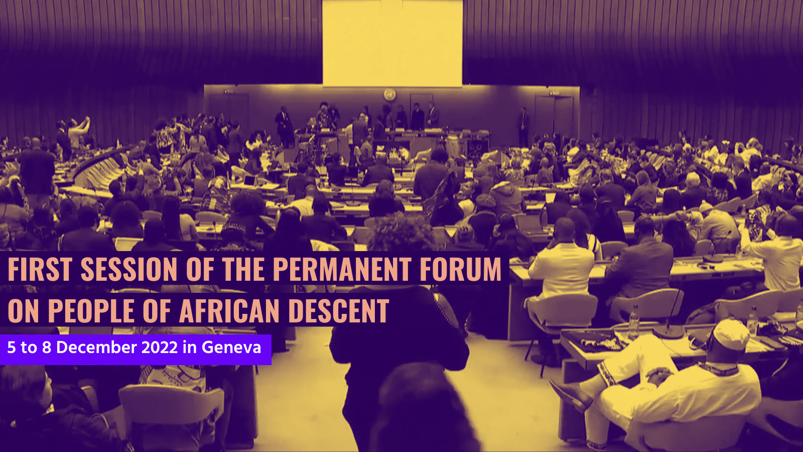 First Session of the Permanent Forum on People of African Descent